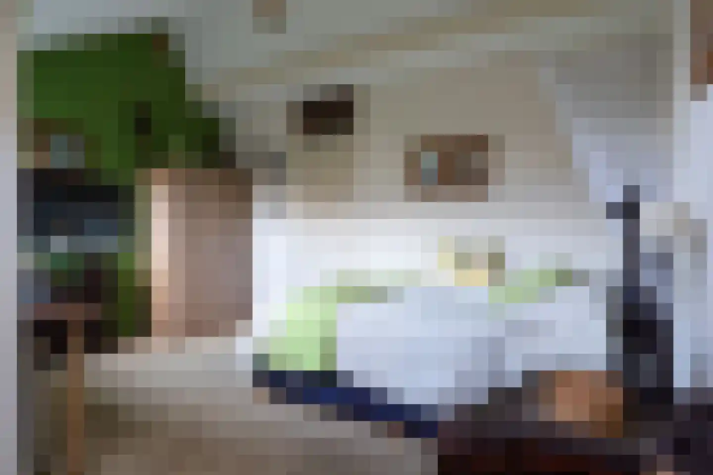 De Cotelaer 11 Barneveld thumbnail 24