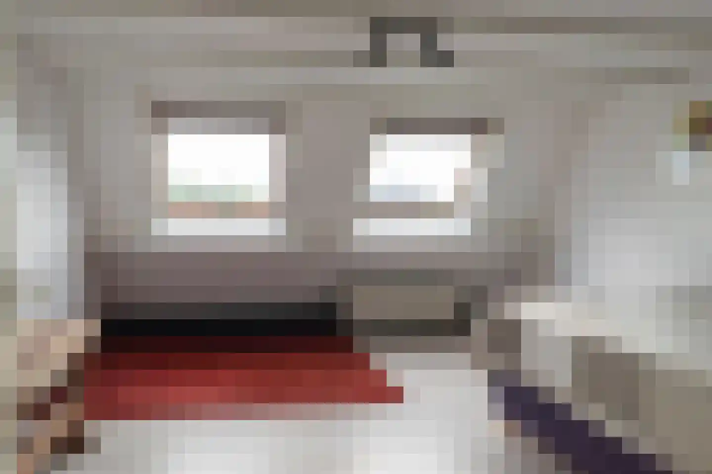De Cotelaer 11 Barneveld thumbnail 30