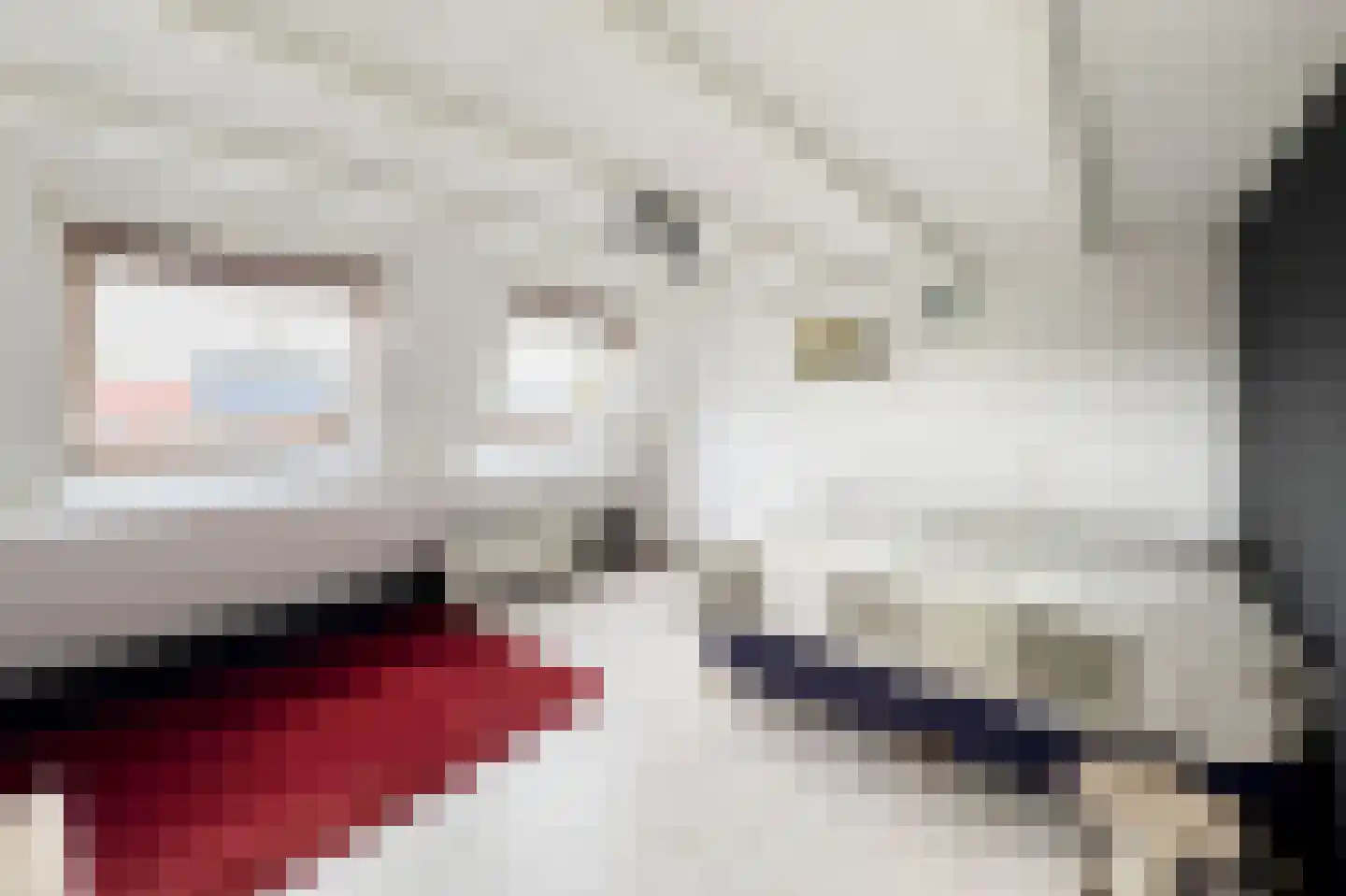 De Cotelaer 11 Barneveld thumbnail 31
