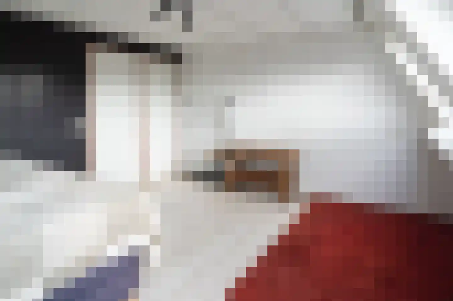 De Cotelaer 11 Barneveld thumbnail 32
