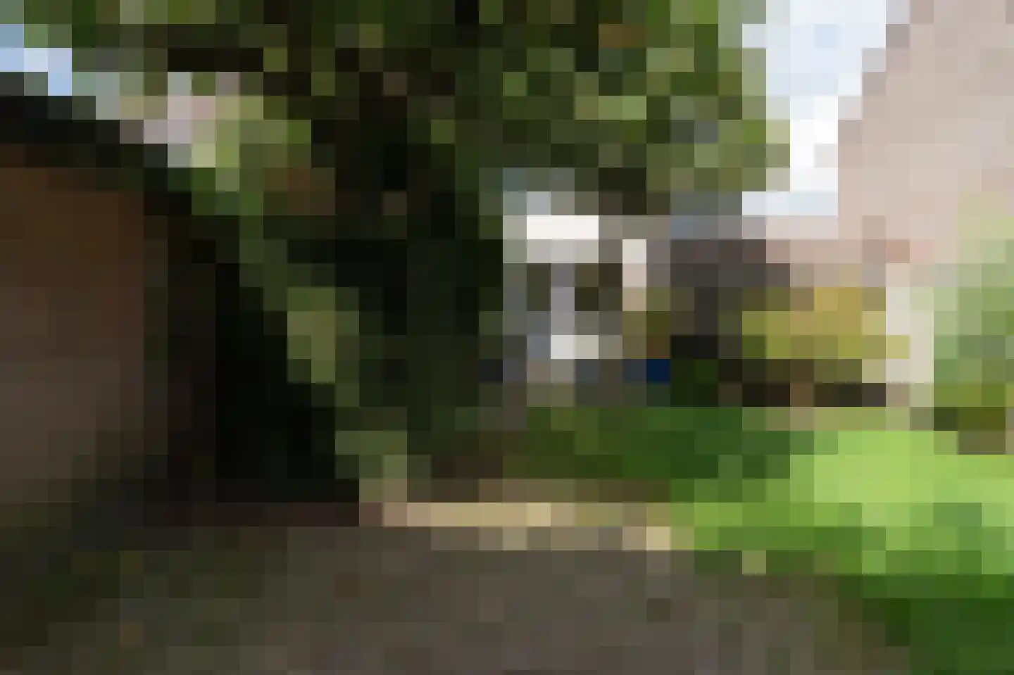 De Cotelaer 11 Barneveld thumbnail 35