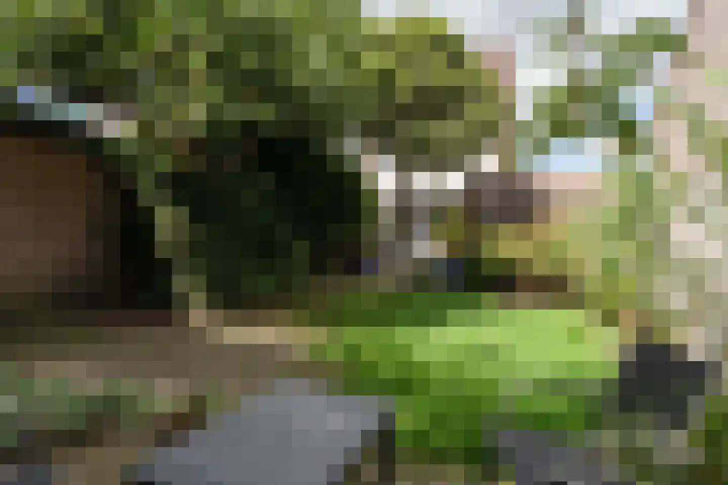 De Cotelaer 11 Barneveld thumbnail 36