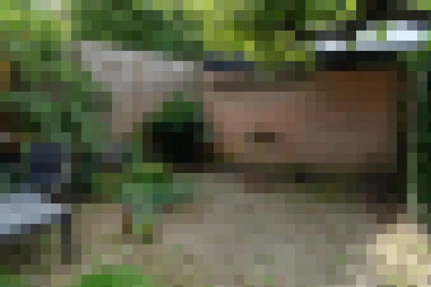 De Cotelaer 11 Barneveld thumbnail 37