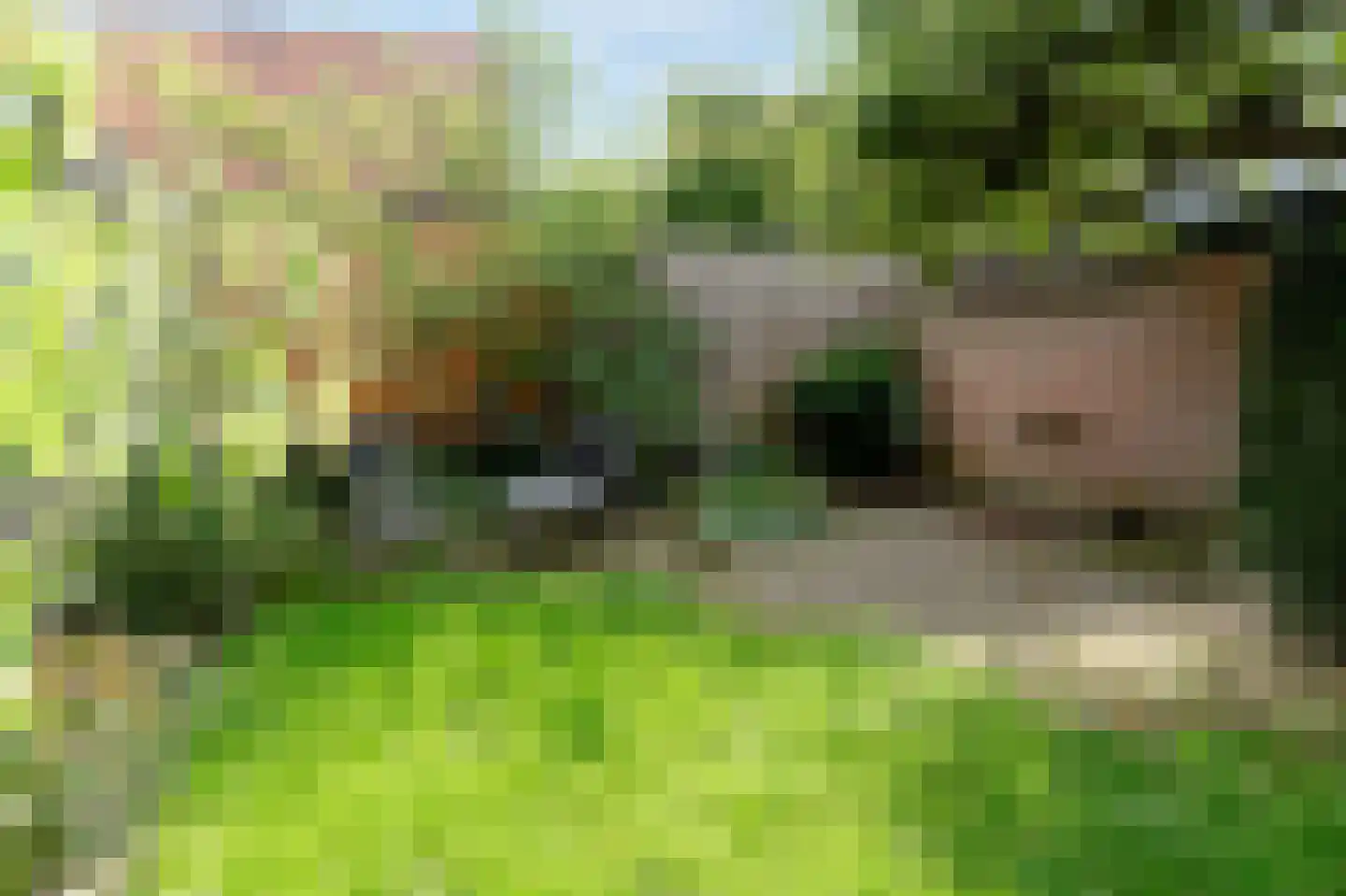 De Cotelaer 11 Barneveld thumbnail 38