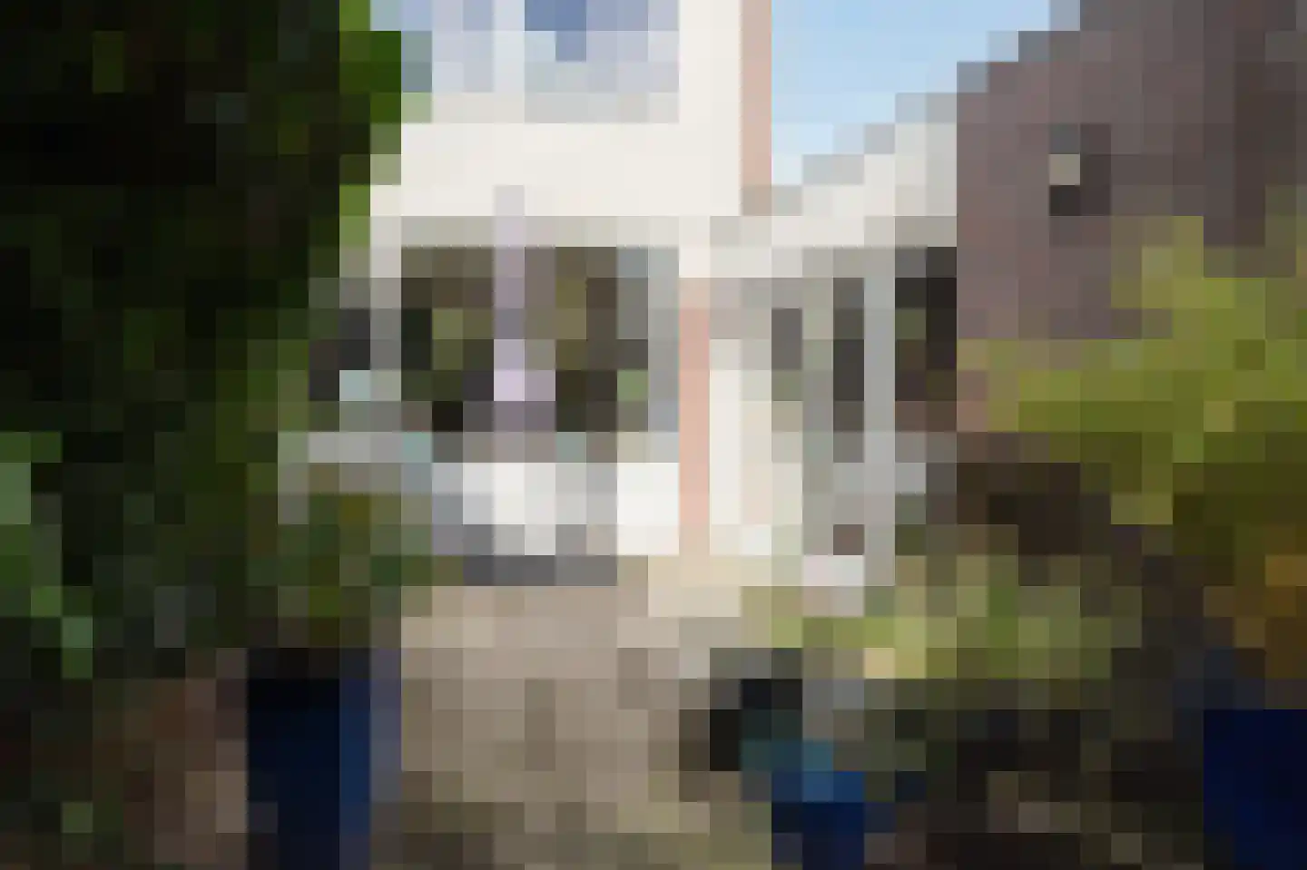De Cotelaer 11 Barneveld thumbnail 39