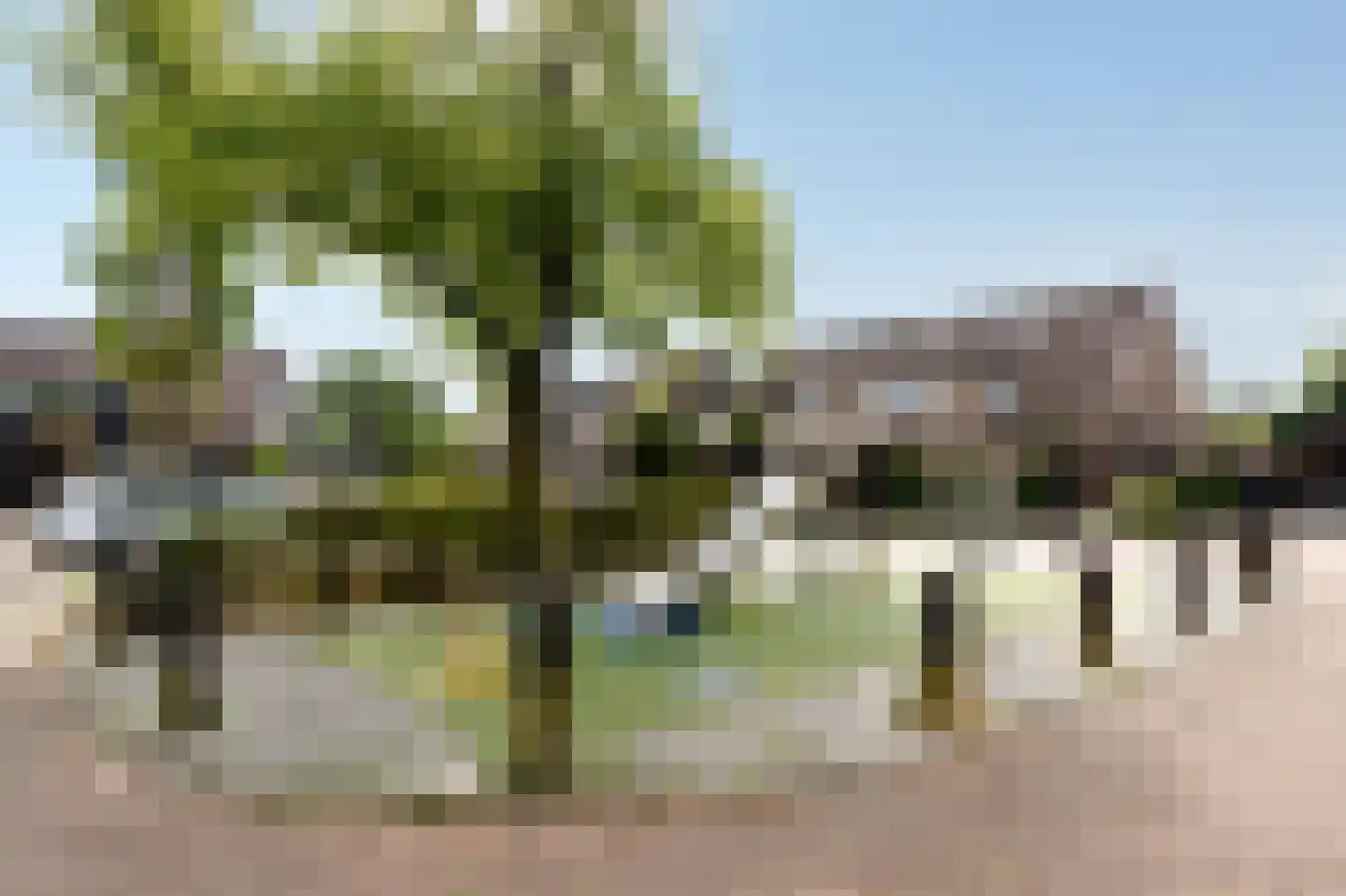 De Cotelaer 11 Barneveld thumbnail 43
