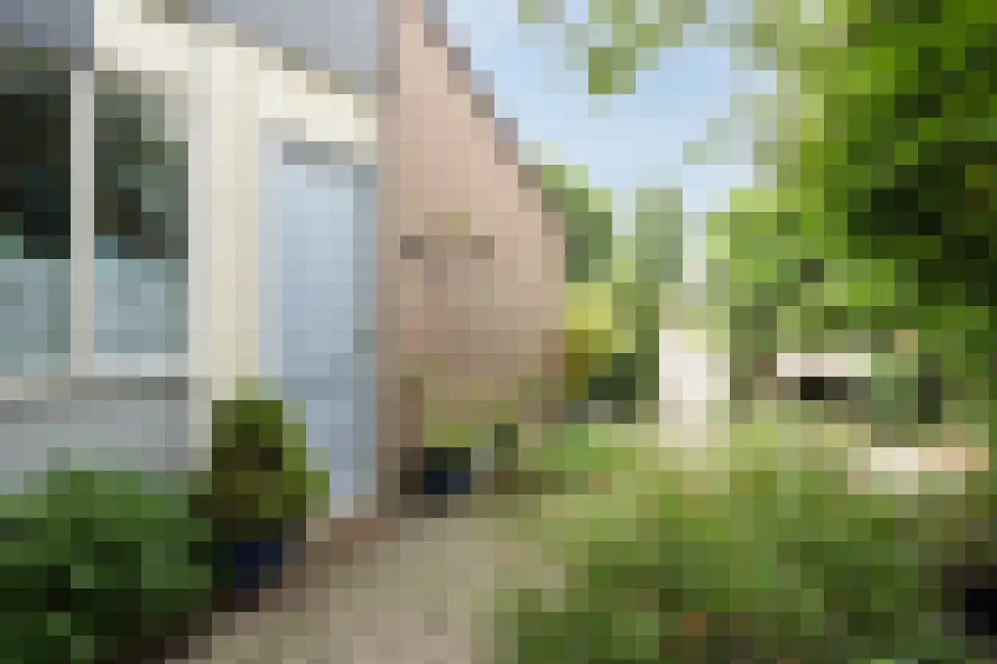 De Cotelaer 11 Barneveld thumbnail 5