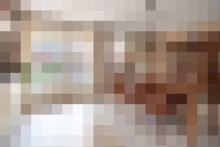 De Cotelaer 127 Barneveld thumbnail 11