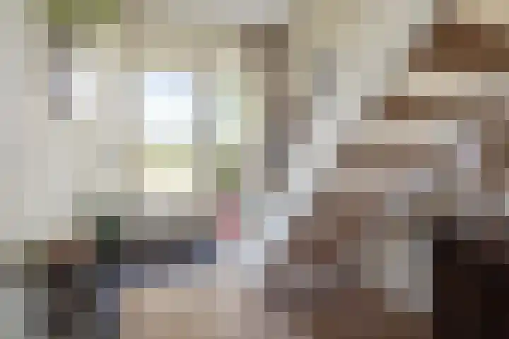 De Cotelaer 127 Barneveld thumbnail 14