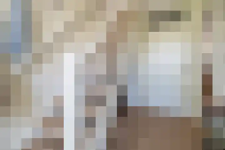 De Cotelaer 127 Barneveld thumbnail 16