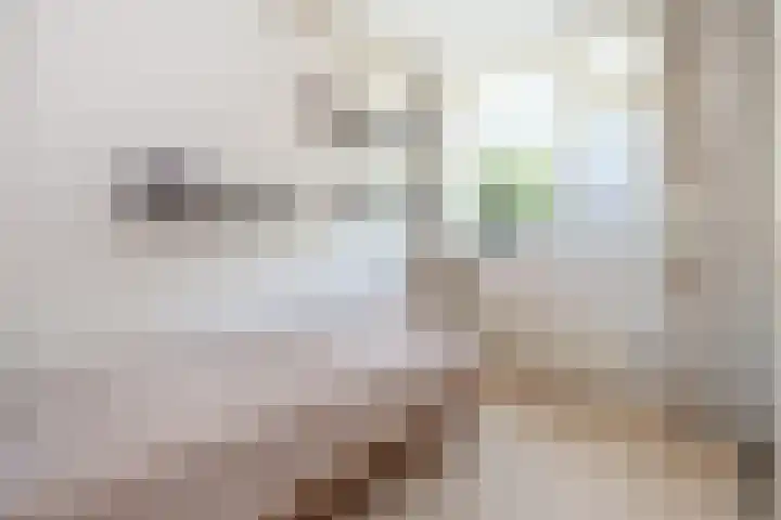 De Cotelaer 127 Barneveld thumbnail 19