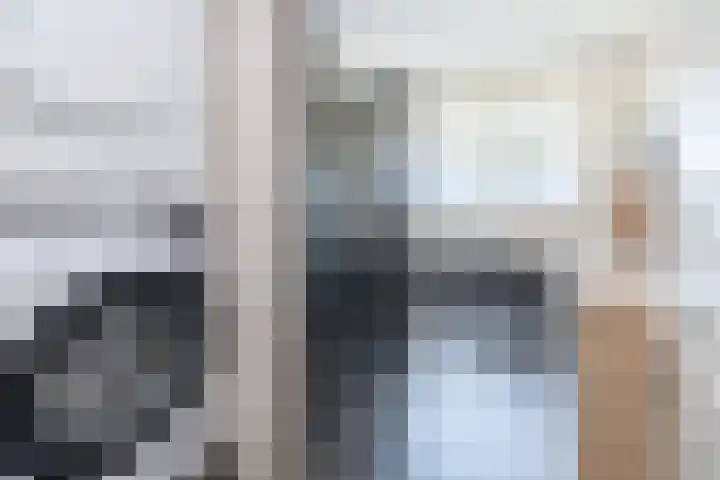 De Cotelaer 127 Barneveld thumbnail 21