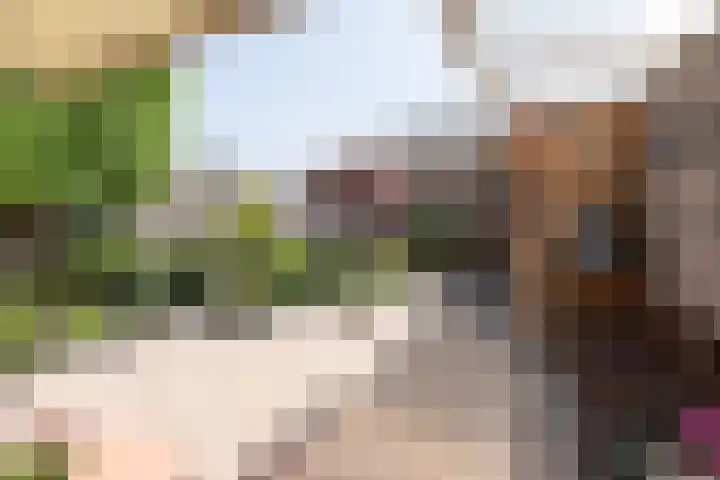 De Cotelaer 127 Barneveld thumbnail 27