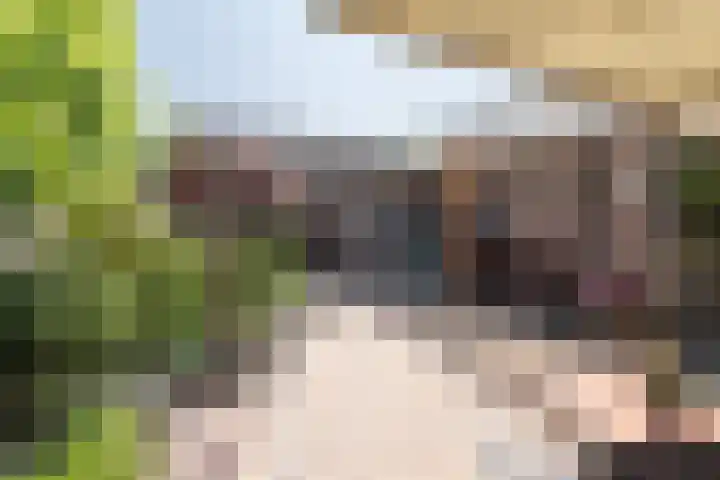 De Cotelaer 127 Barneveld thumbnail 29