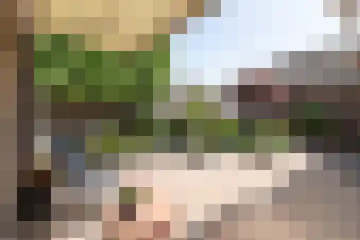 De Cotelaer 127 Barneveld thumbnail 30