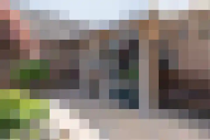 De Cotelaer 127 Barneveld thumbnail 31