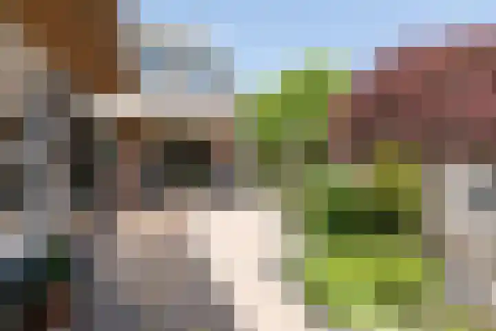 De Cotelaer 127 Barneveld thumbnail 32