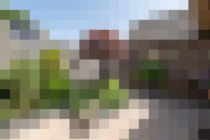 De Cotelaer 127 Barneveld thumbnail 33