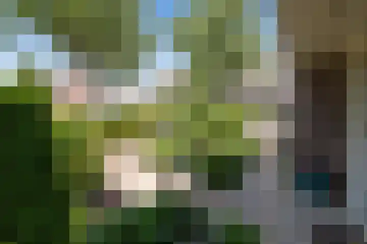 De Cotelaer 127 Barneveld thumbnail 38