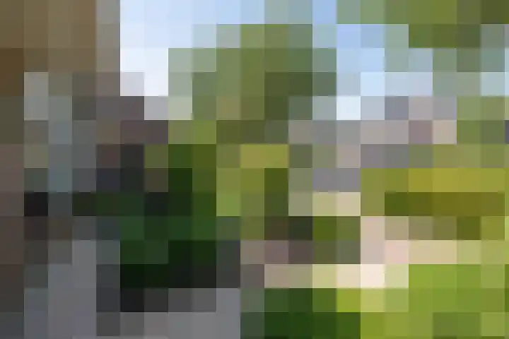 De Cotelaer 127 Barneveld thumbnail 39