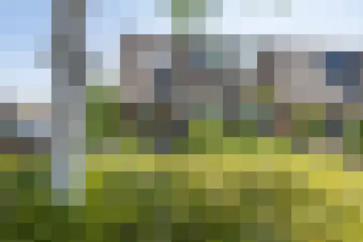 De Cotelaer 127 Barneveld thumbnail 42