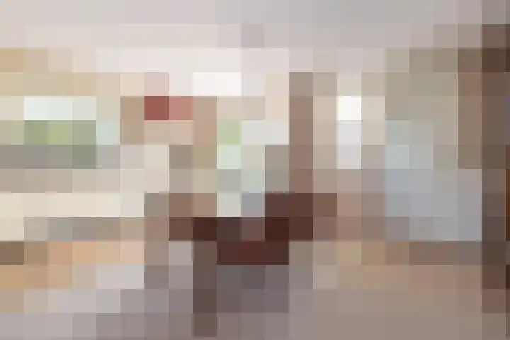 De Cotelaer 127 Barneveld thumbnail 5