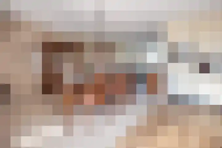 De Cotelaer 127 Barneveld thumbnail 7