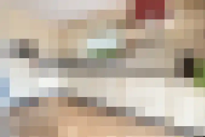 De Cotelaer 127 Barneveld thumbnail 9