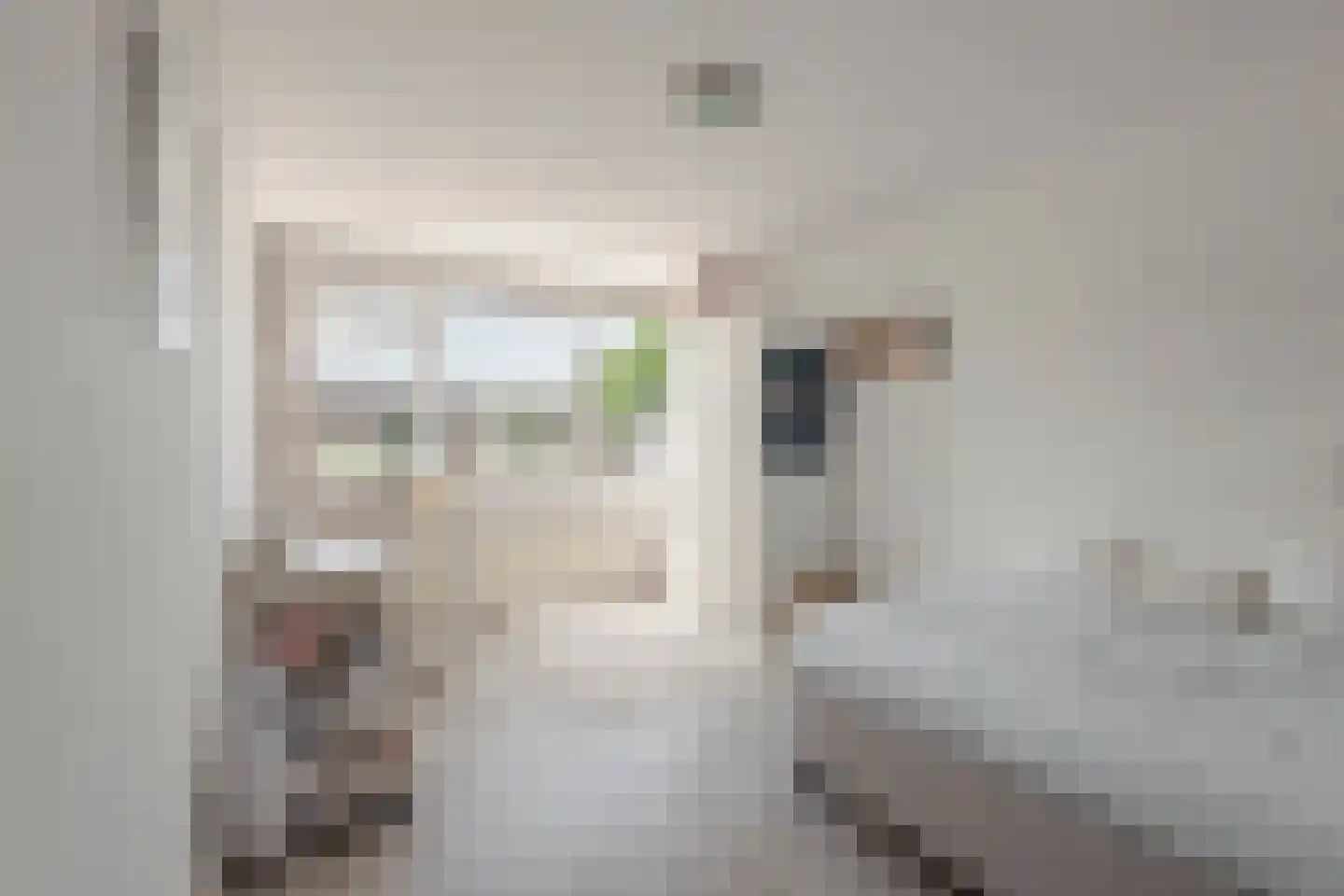 De Cotelaer 147 Barneveld thumbnail 18