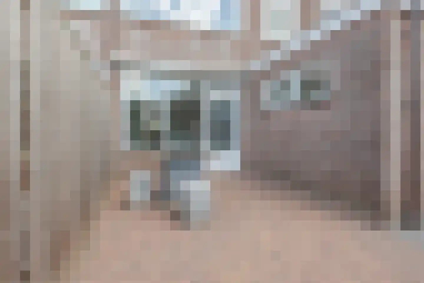 De Cotelaer 147 Barneveld thumbnail 35