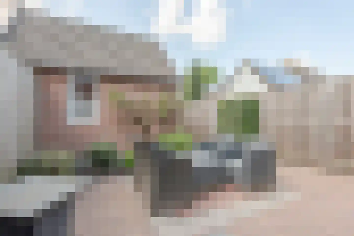 De Cotelaer 147 Barneveld thumbnail 37