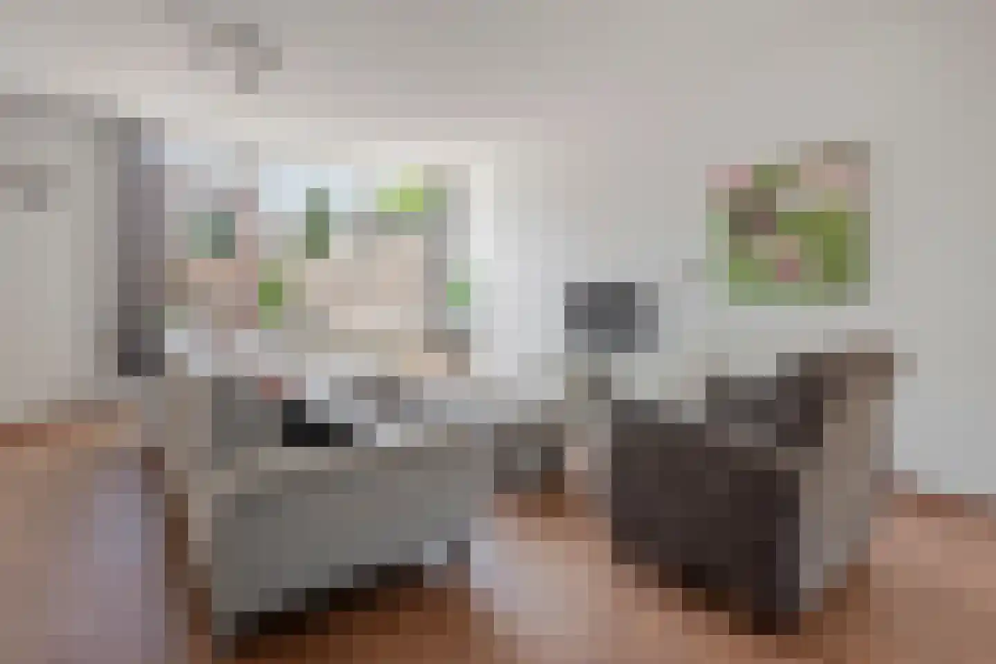De Cotelaer 147 Barneveld thumbnail 6