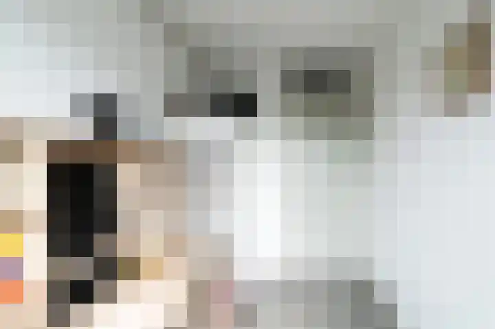 De Cotelaer 18 Barneveld thumbnail 27
