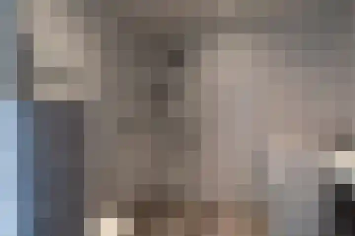 De Cotelaer 18 Barneveld thumbnail 30