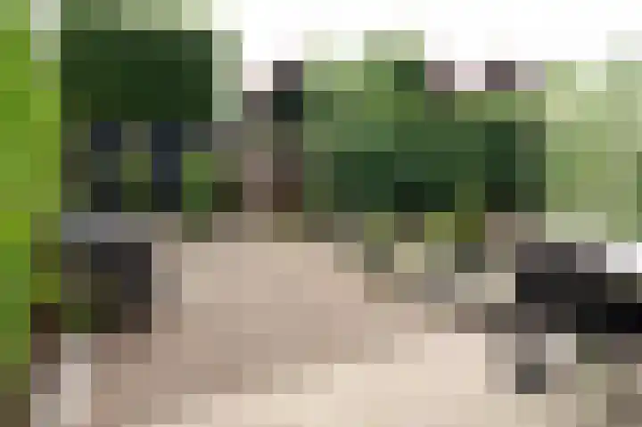 De Cotelaer 18 Barneveld thumbnail 35