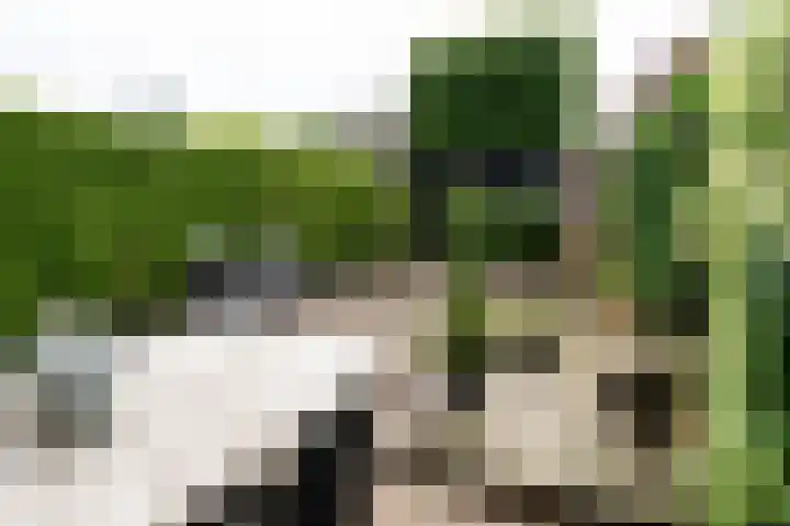 De Cotelaer 18 Barneveld thumbnail 36