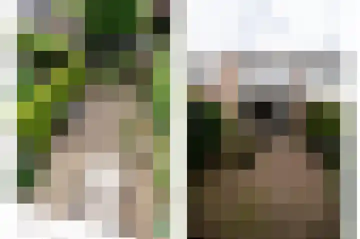 De Cotelaer 18 Barneveld thumbnail 37