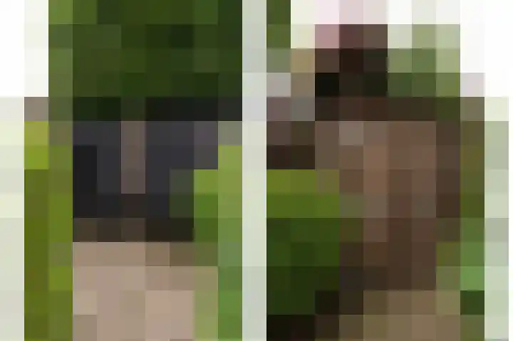 De Cotelaer 18 Barneveld thumbnail 38