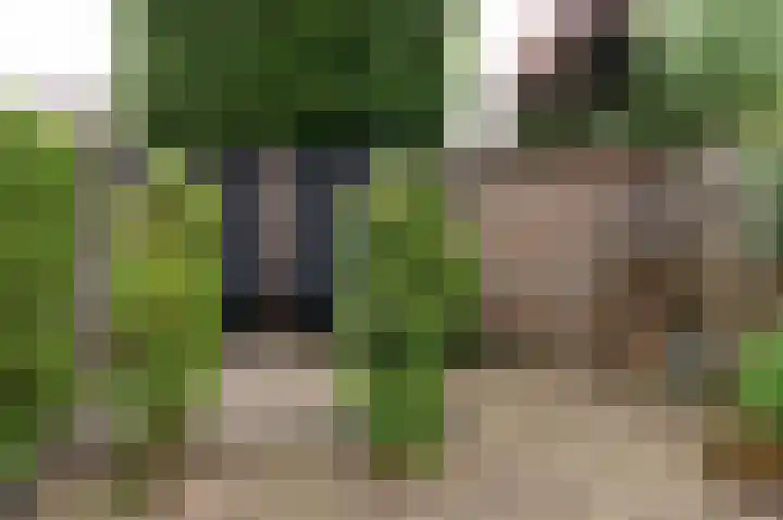 De Cotelaer 18 Barneveld thumbnail 39