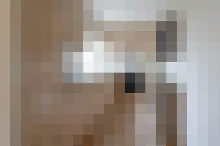 De Cotelaer 18 Barneveld thumbnail 4