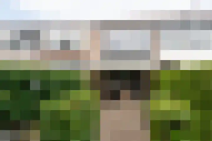 De Cotelaer 18 Barneveld thumbnail 40