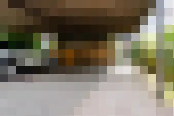 De Cotelaer 18 Barneveld thumbnail 41