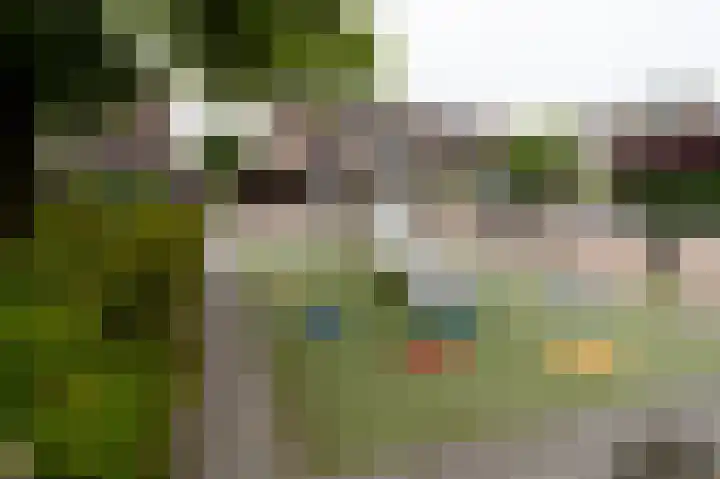 De Cotelaer 18 Barneveld thumbnail 45