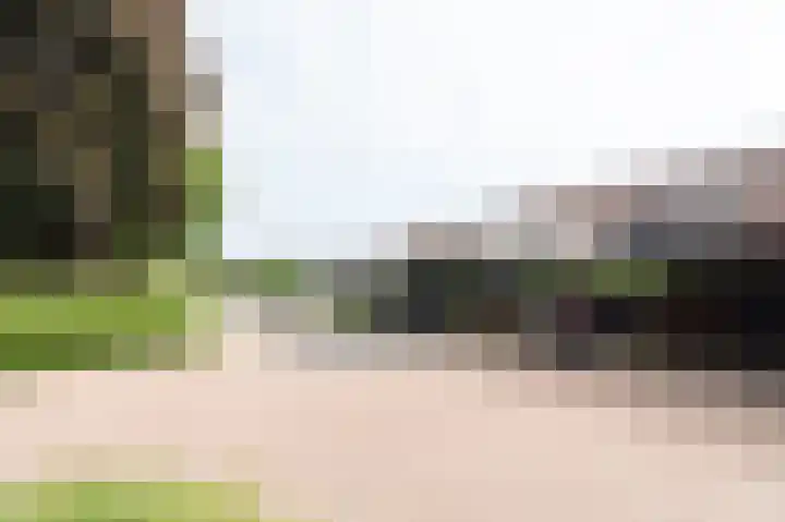 De Cotelaer 18 Barneveld thumbnail 46