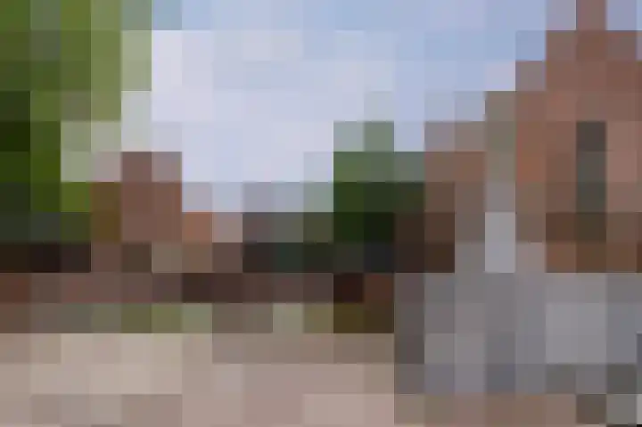 De Cotelaer 18 Barneveld thumbnail 52