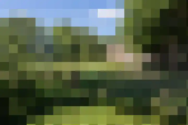 De Cotelaer 18 Barneveld thumbnail 53