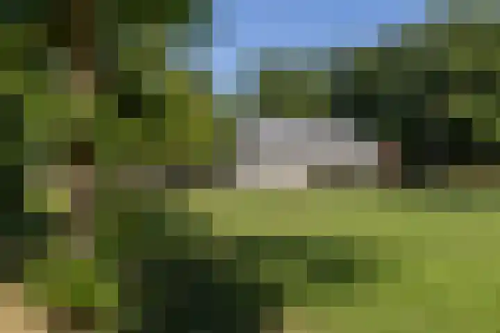 De Cotelaer 18 Barneveld thumbnail 54