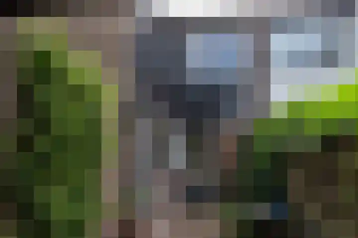 De Cotelaer 18 Barneveld thumbnail 7