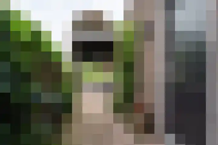 De Cotelaer 18 Barneveld thumbnail 8
