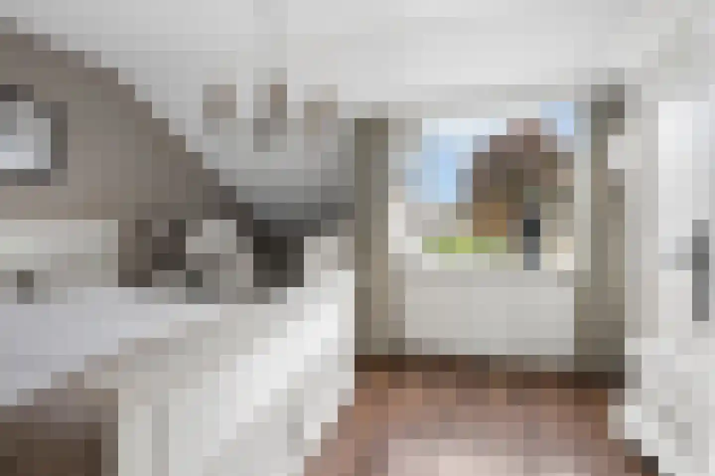 De Cotelaer 19 Barneveld thumbnail 17